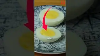 Secret power of egg yolks
