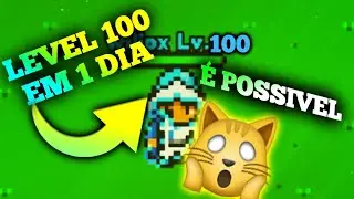 COMO UPAR DO LEVEL 1 AO 100 EM 1 DIA NO RUCOY ONLINE