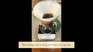 Chemex Recipe