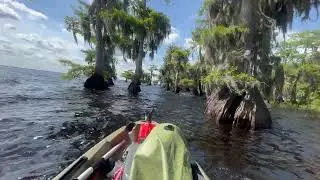 Blue Cypress lake. Florida