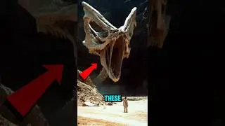 Top 3 Most Dangerous Desert Animals (Number 1 is Terrifying) #facts #shorts
