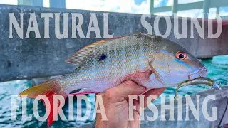 Ambient Sound Fishing in Florida (No Music)