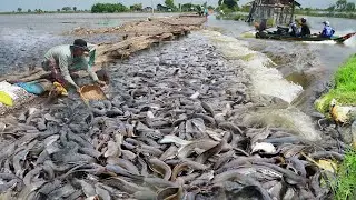 Guide to Fishing in Irrigation Canal Water Systems
