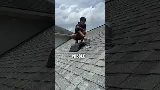 Roofers Near Me | Walker LA | Roof Repair #roofingcontractor #walkerla #roofrepair #leakyroof