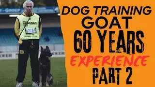 DOG TRAINER? WATCH THIS!! Helmut Raiser Part 2 German GOAT dog training Schutzhund Protection dog K9