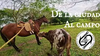 De la ciudad al campo capitulo 3, El día a día de un campesino. 