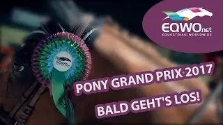 EQWO.net Pony Cup 2017: Bald geht's los!
