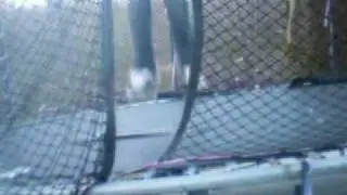 2 Tripple Kickflips, Quad Kickflips, Tre Flip