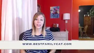 How To Stop Cat Peeing On Carpet - How I Solved!