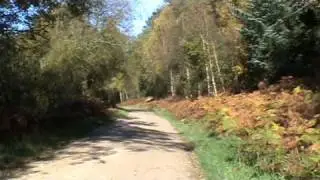 North Yorkshire Country Walk - Langdale End-Morra Head Wood-River Derwent round (Part 1)