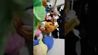 הצצה ליום הולדת של קרמיט