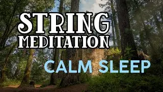 String meditation - calm forest