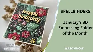 Spellbinder’s 3D Embossing Folder of the Month for January