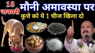 18 जनवरी मौनी अमावस्या पर कुत्ते को यह एक चीज खिला दो,,, गरीबी होगी दूर// #pradeepmishra