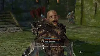 Defender or Invader