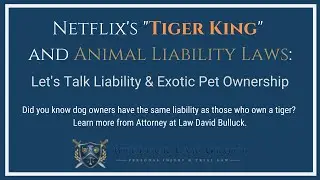 Animal Liability & 