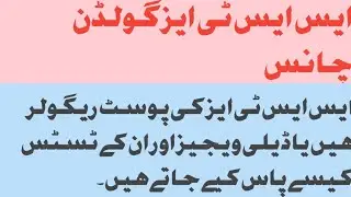 Are SSTs posts regular or daily wages How to get 80 plus marks public service commission kpk 