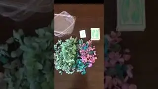 АВИТО!!! Гортензия. Сухоцветы. Очень мило и красиво 😍