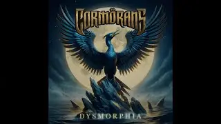 Cormorans - Strangers