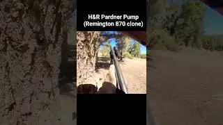 H&R Pardner Pump (Remington 870 clone). #pumpaction #H&R #00buck #Remington #12gauge