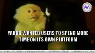 When Yahoo Refused to Buy Google for $1 Million