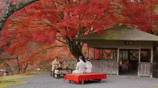 A magical Kyoto garden elopement - Matthew & Annabel