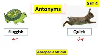 Repeated Antonyms And Synonyms Mcqs |Antonyms Mcqs |Most Repeated Antonyms Mcqs of English