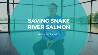 Saving Snake River Salmon | Jay Hesse | Tomorrow's Catch