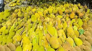 World Biggest Jackfruit Market || Biggest Fruit in the World || 10 Minute Videos