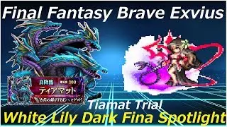 Tiamat Trial CG Dark Fina Spotlight Final Fantasy Brave Exvius Japan | FFBE JP
