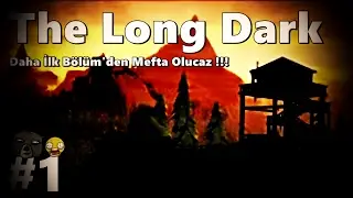 ACEMİ SURVİVOR -The Long Dark