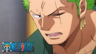 Die Strohhutbande st&uuml;rzt sich auf Zorro | One Piece