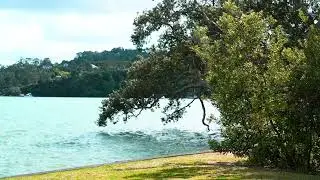 Beautiful Bay | West Auckland