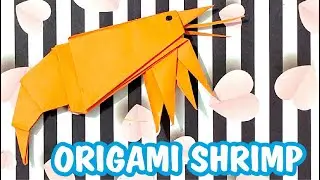 Easy Origami Instruction : How to Make Paper Shrimp 🍤