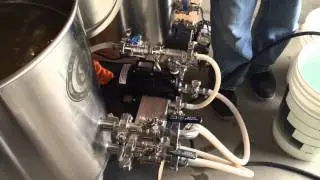 Spike Brewing  vs SS Brew Tech- Brew Kettles