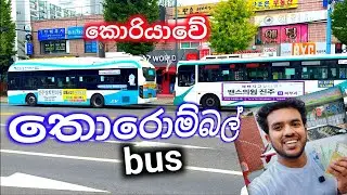 කොරියාවේ බස් පිස්සුව.korean bus.korean transport.#epsnewmodel #koreanlifestyle #trendingvideo