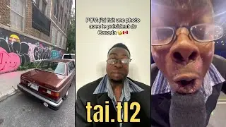 COMPILATION TIKTOK BEST OF [tai.tl2] #3