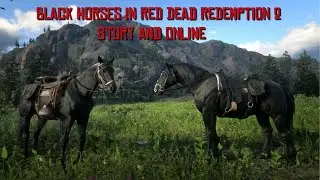 Black Horses Available in Red Dead Redemption 2: Story & Online