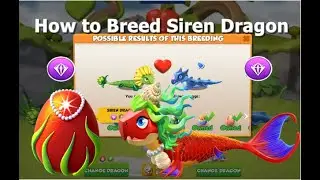 How to Breed Siren Dragon-Dragon Mania Legends | Breeding Guide | DML