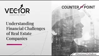Understanding Financial Challenges of Real Estate Companies | | Vector Consulting Group