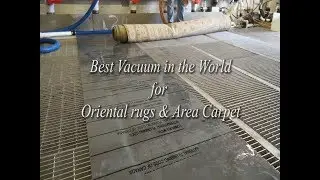 The Best Vacuum for Oriental rug & Area Carpet-#PetPeePee