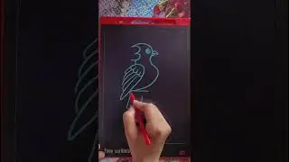 bird drawing with 324 for beginners #viral #shortsvideo #youtubeshorts #trending #drawing
