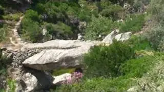 Ikaria hiking -1- Myrsonas canyon