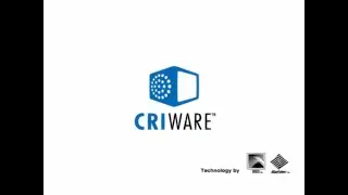 Bandai Namco Games/Criware/ADX/Sofdec/CyberConnect2 (2007)