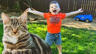 Caleb Backyard Adventure Story with Kitty Cat Pet!