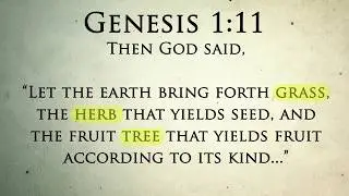 Exegetical Evidence Against The Apparent Creation Contradictions In Genesis 1 & 2