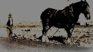 FOLLOWER - an Irish folk song from the poem by Seamus Heaney (Original Music)