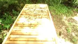Horizontal hive Inspection