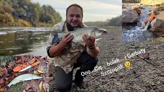 Boleń z Wisły Krak&oacute;w i n&oacute;ż wędkarski Szczupak od Garbaty Knives