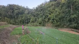 Review farm in winter season and how agriculture family works 💪 
